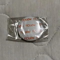 スングァン 缶バッジ FOLLOW FELLOW IN JAPAN