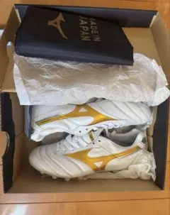 Item thumbnail for item db32c842-4763-4dd0-af2e-6b676be6c053