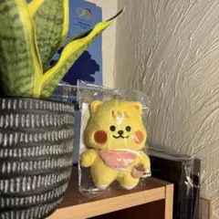 2026年最新】niziu リチュ ぬいぐるみの人気アイテム - メルカリ