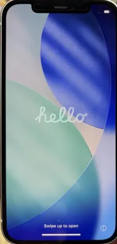 Apple iPhone 12 本体　大容量256GB 美品