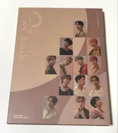 SEVENTEEN 舞い落ちる花びら　スングァン トレカ