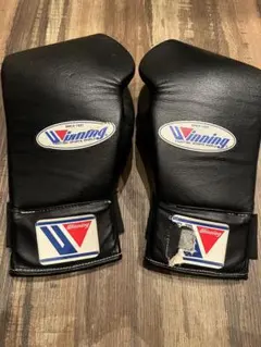 Item thumbnail for item ec6aae05-0ff3-485d-bc02-b5d106500a11