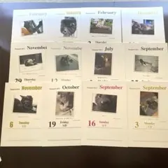 flumpool 2012年 カレンダー 小倉誠司さん猫写真 抜粋セット