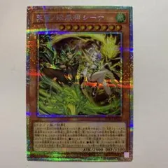 2026年最新】天雷ノ双風神 シーナの人気アイテム - メルカリ