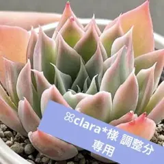 ꕤclara*様 金額調整分❣️リクエスト 3点 まとめ商品