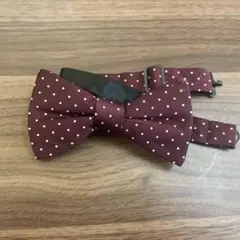 UNITED ARROWS バーガンディ ドット ボウタイ