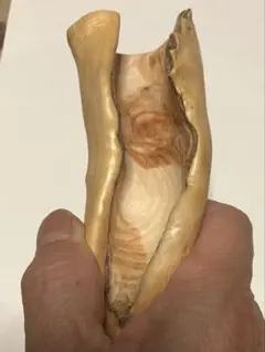 Item thumbnail for item 29135a9d-6720-456b-a48e-b86f6c41e685