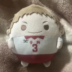 ハイキュー　ふわコロりん　Mサイズ　夜久衛輔