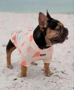 新品未使用 | SPARK PAWS | 犬用Tシャツ | サンブロック | Mのサムネイル