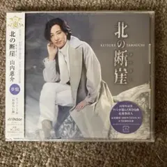 山内恵介 北の断層 CD