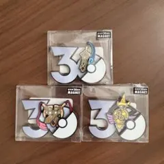 ポケモン 30周年 マグネット エレズン ストリンダー　3点セット ポケモン30周年 マグネット中国限定 エレズン ストリンダー 3点セット