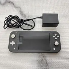 Nintendo Switch Lite グレー 本体 充電器付き
