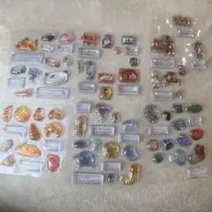 値下げ‼️【正規品】大人の図鑑シール　3D 新作全種おすそ分け ６点