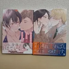 女性向け漫画セット⑬