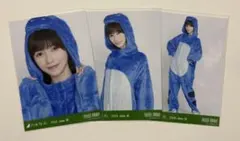 乃木坂46 生写真 コンプ 池田瑛紗 福井 真夏の全国ツアー 恐竜 ライブT