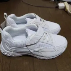 瞬足
