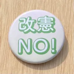 憲法改正 反対 缶バッジ 改憲 44mm