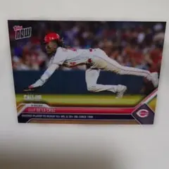 かめちむ様 リクエスト 3点 まとめ商品