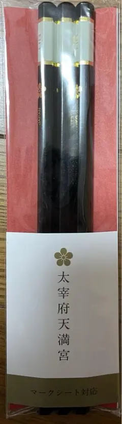 Item thumbnail for item 34636bf5-ae98-4d69-9e08-bc2f030fe3c5