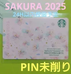 スタバ SAKURA 2025 カード【希少 レア】Starbucks 桜