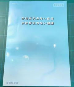 Item thumbnail for item 3e35487a-fa6c-4f5d-8dbc-5e91e7ec4cd9