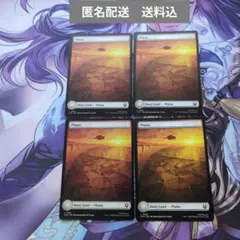 MTG　フルアート　平地/Plains　[TLA] 英語