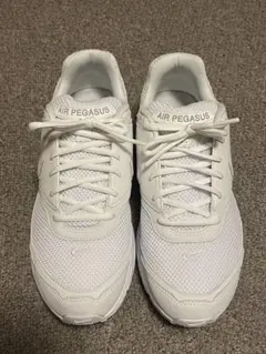 【極美品】コムデギャルソンオムプリュス×ナイキ エアペガサス2005白27cm