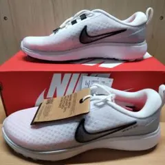 25cm NIKE インフィニティ エース ネクスト DX0127-100