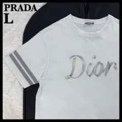 445【人気デザイン】ディオール 刺繍ロゴ 袖ラインTシャツ バイカラー グレー