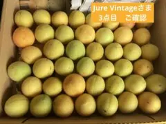 Item thumbnail for item 9aaf2ad9-f3cd-4f23-b9ea-d641ad92fdb0