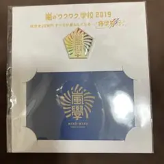 嵐のワクワク学校2019 ピンバッジ