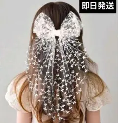 Item thumbnail for item edd56608-937c-45ad-9db5-ef4638bfe6ec