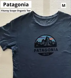【完売品】パタゴニア フィッツロイ・スコープ・オーガニックTee ネイビー M