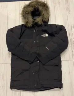 THE NORTH FACEザノースフェイス×GORETEX/ND91935/L Amazon | [ザノースフェイス] マウンテンダウンコート メンズ