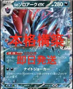 本格構築 Nのゾロアークexデッキ【構築済みデッキ】 即日発送