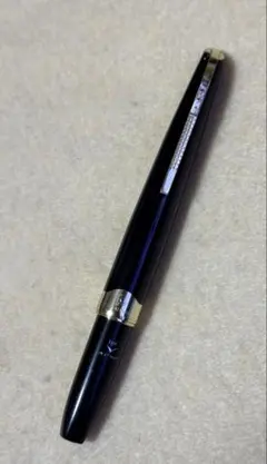 s*u様 PLUTINUM万年筆 2本セット ビンテージ 昭和レトロ 18k プ - メルカリ