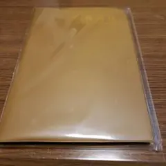 Item thumbnail for item e685a6f0-e346-4fd6-a934-6679ff7c4aee