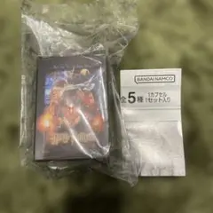ハリー・ポッターめじるしアクセサリー＋ 金のスニッチ