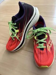 ランニングシューズ saucony 25cm エンドルフィン プロ 2