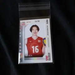 女子バレーボール濱松明日香50枚限定カード