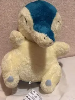 2026年最新】ポケットモンスター おしゃべりぬいぐるみ ヒノアラシの