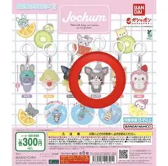 JOCHUM ジェオチャム めじるしアクセサリー チュララ