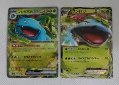 フシギバナex RR 　フシギバナEX RR ポケモンカード