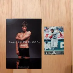 新庄剛志 GUNZE プロ野球チップス カードセット