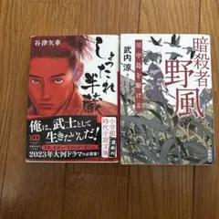 しだれ半蔵 / 暗殺者 野風 2冊セット