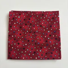 【新品・未使用（美品）値下げ中‼️】星柄の洋裁布（レッド）