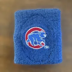 Item thumbnail for item 50c26f12-cd50-40d2-8973-85a5446bfcaa