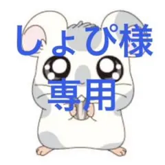 しょぴ様専用ページ