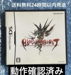 3m動作確認済‼️ブラッド オブ バハムート ニンテンドーDS