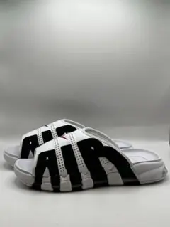Nike Air スライドサンダル サイズ30cm FB7818-100